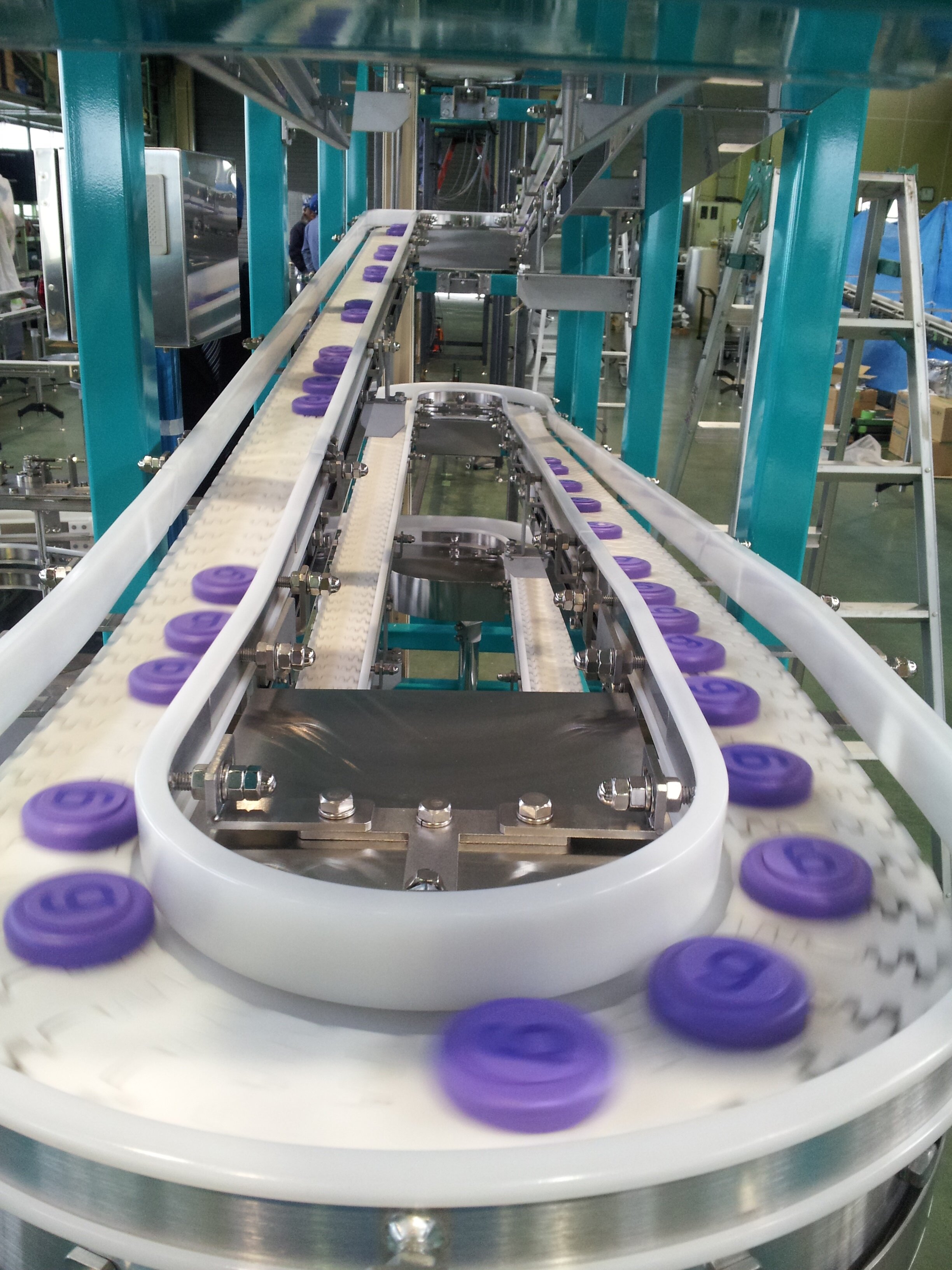 Plastic Chain Conveyor